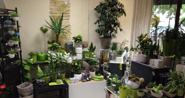 Le Jardin D039Eden Gallery Img Le Jardin Deden13