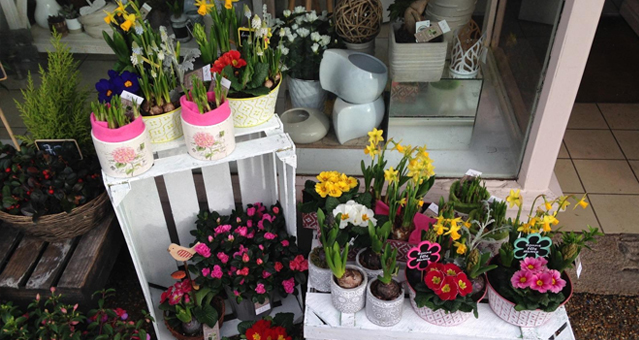 Le Jardin D039Eden Gallery Img Le Jardin Deden14