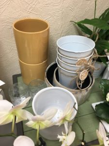 Le Jardin D&182.JPG039;Eden 198 182