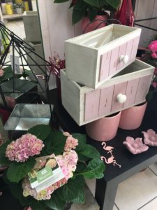Le Jardin D&185.JPG039;Eden 202 185