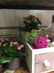 Le Jardin D&188.JPG039;Eden 272 188