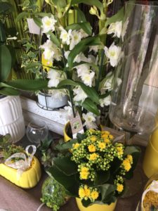 Le Jardin D&190.JPG039;Eden 275 190