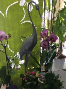 Le Jardin D&192.JPG039;Eden 280 192