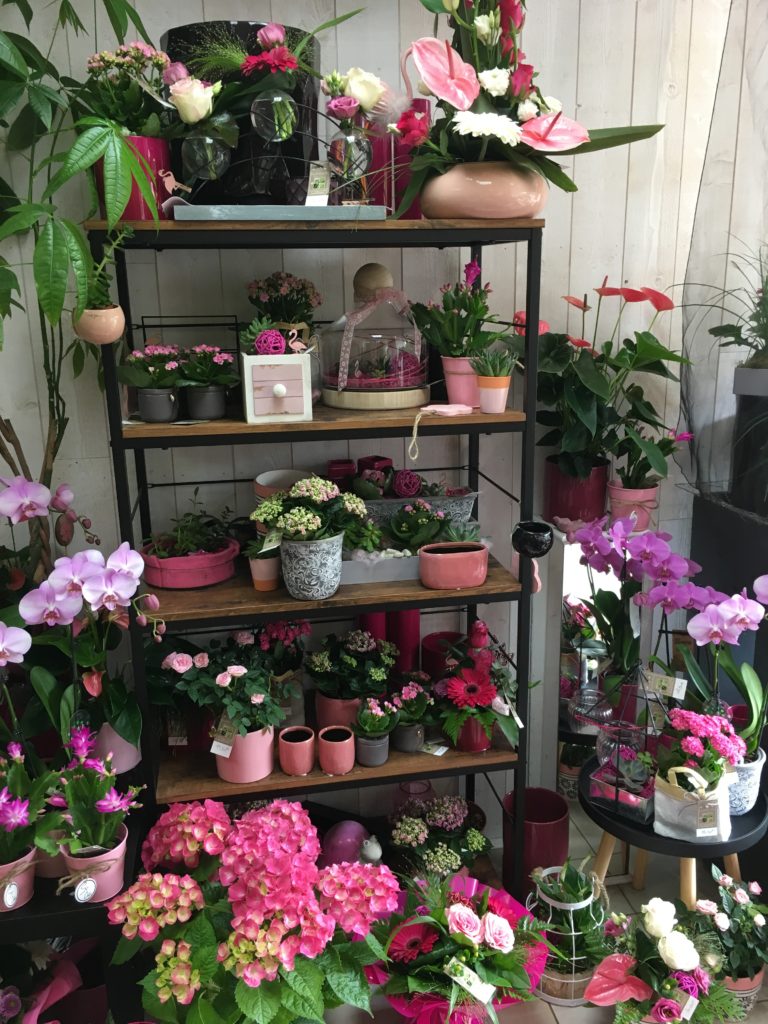 Le Jardin D&193.JPG039;Eden 301 193