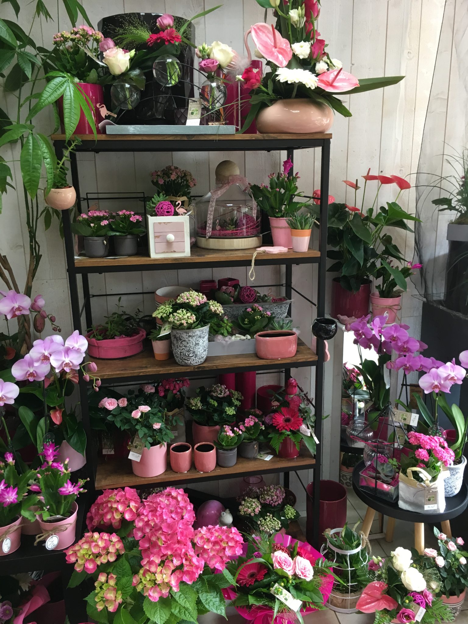 LE JARDIN D’EDEN - Votre Artisan Fleuriste À Ancenis (44) Et Candé (49)