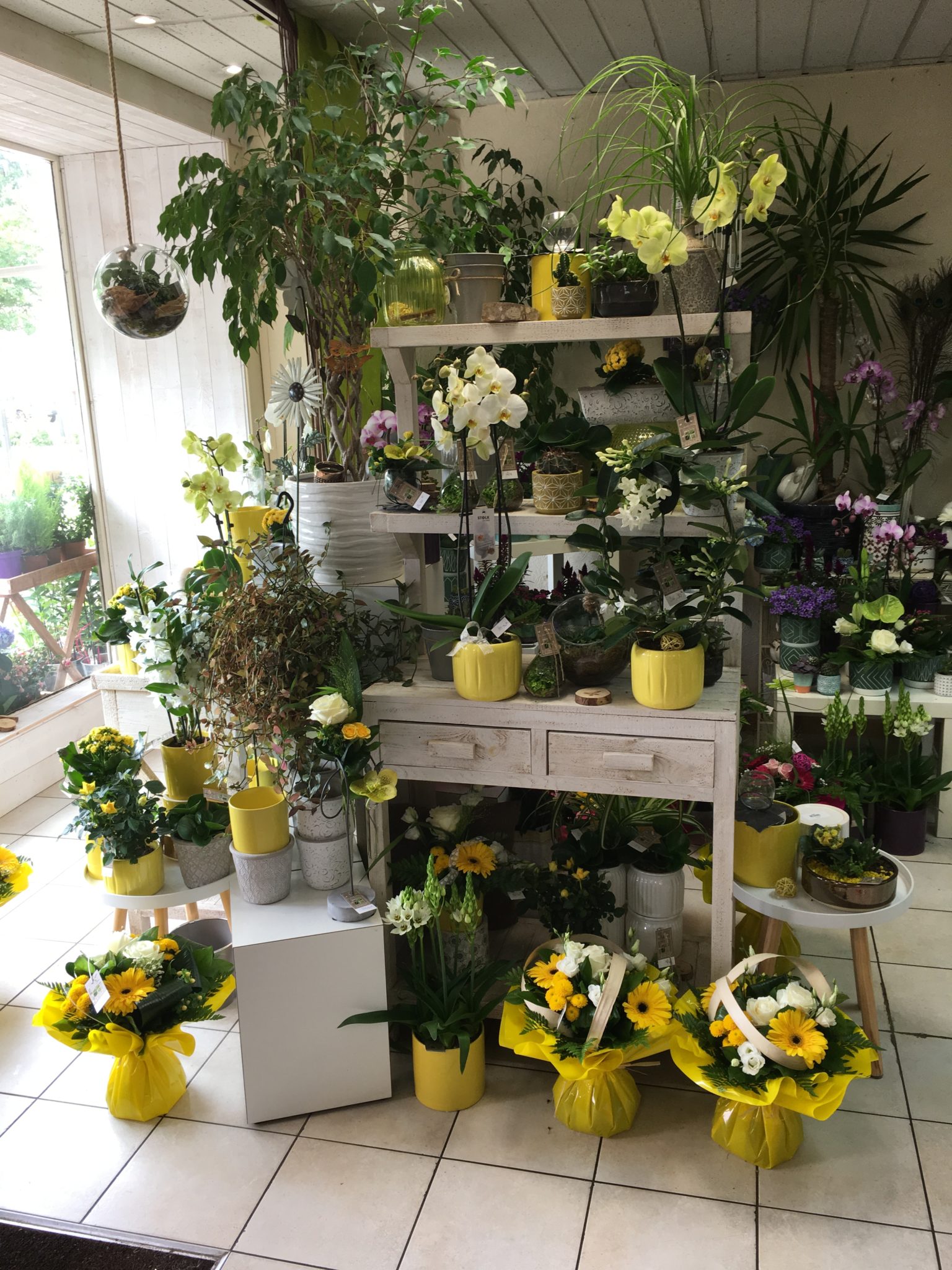 LE JARDIN D’EDEN - Votre Artisan Fleuriste À Ancenis (44) Et Candé (49)