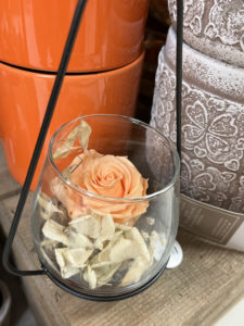 Le Jardin Deden Cache Pot(3) 270