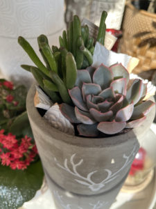 Le Jardin Deden Jardinplantes 282