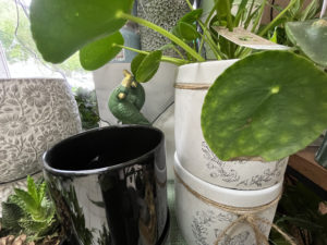 Le Jardin Deden Cache Pot(2) 269