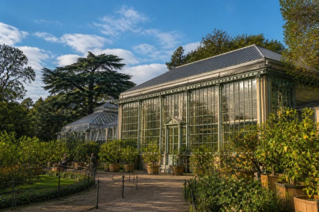 découvrez l'orangerie du jardin des plantes, un joyau botanique au cœur de paris, offrant une collection exceptionnelle de plantes rares et un cadre paisible pour les amoureux de la nature.