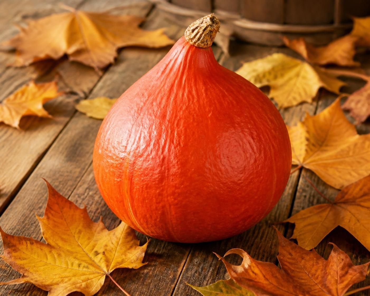 découvrez nos astuces gourmandes pour sublimer le potimarron, ce légume d’automne délicieux, avec des recettes faciles à réaliser et pleines de saveurs.
